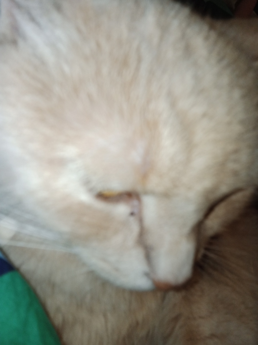 Мо