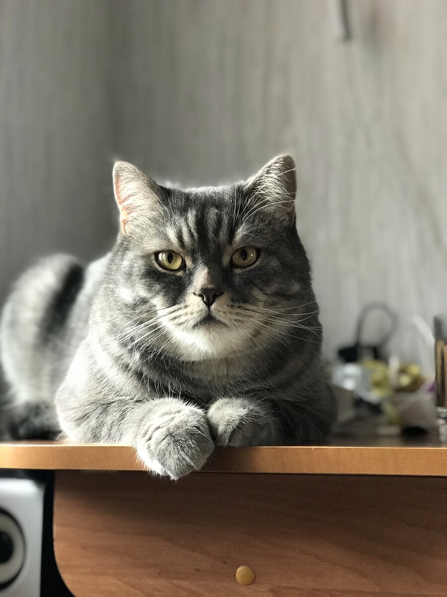 Я тут самый красивый 