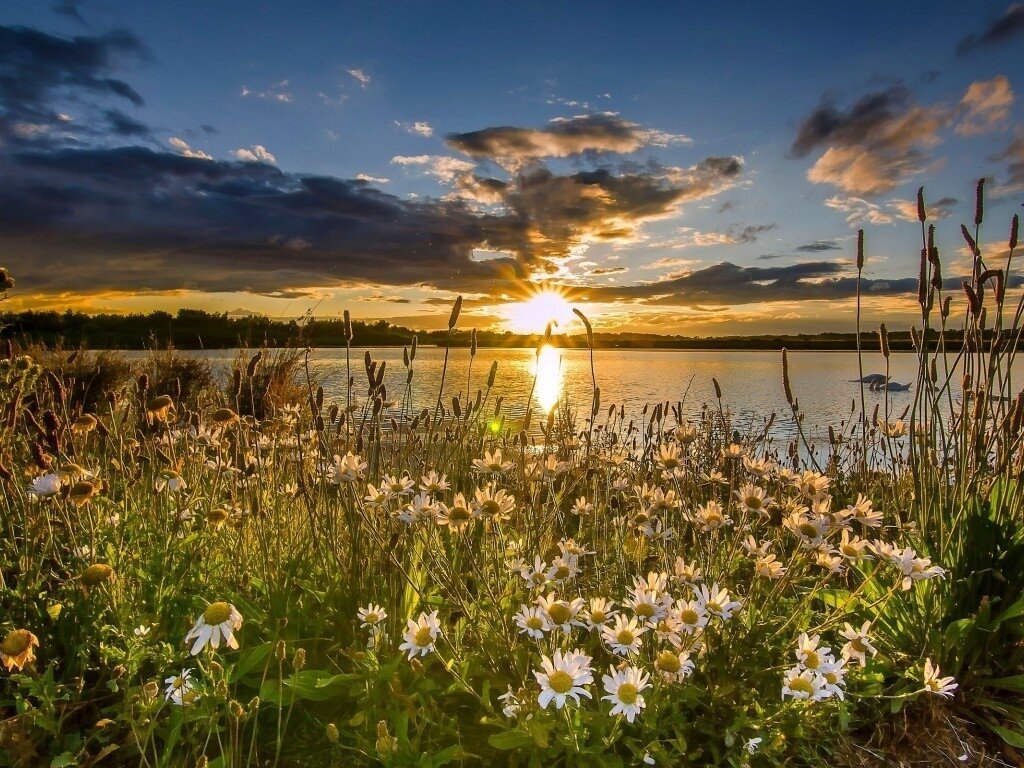 Фото взято из интернета