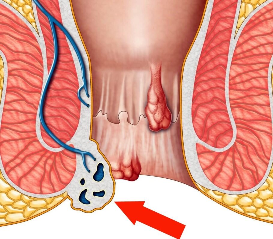 изображение взято из сервиса "Яндекс картинки"