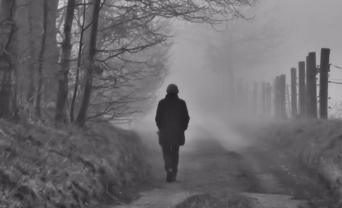 Фото из Яндекс-Картинки