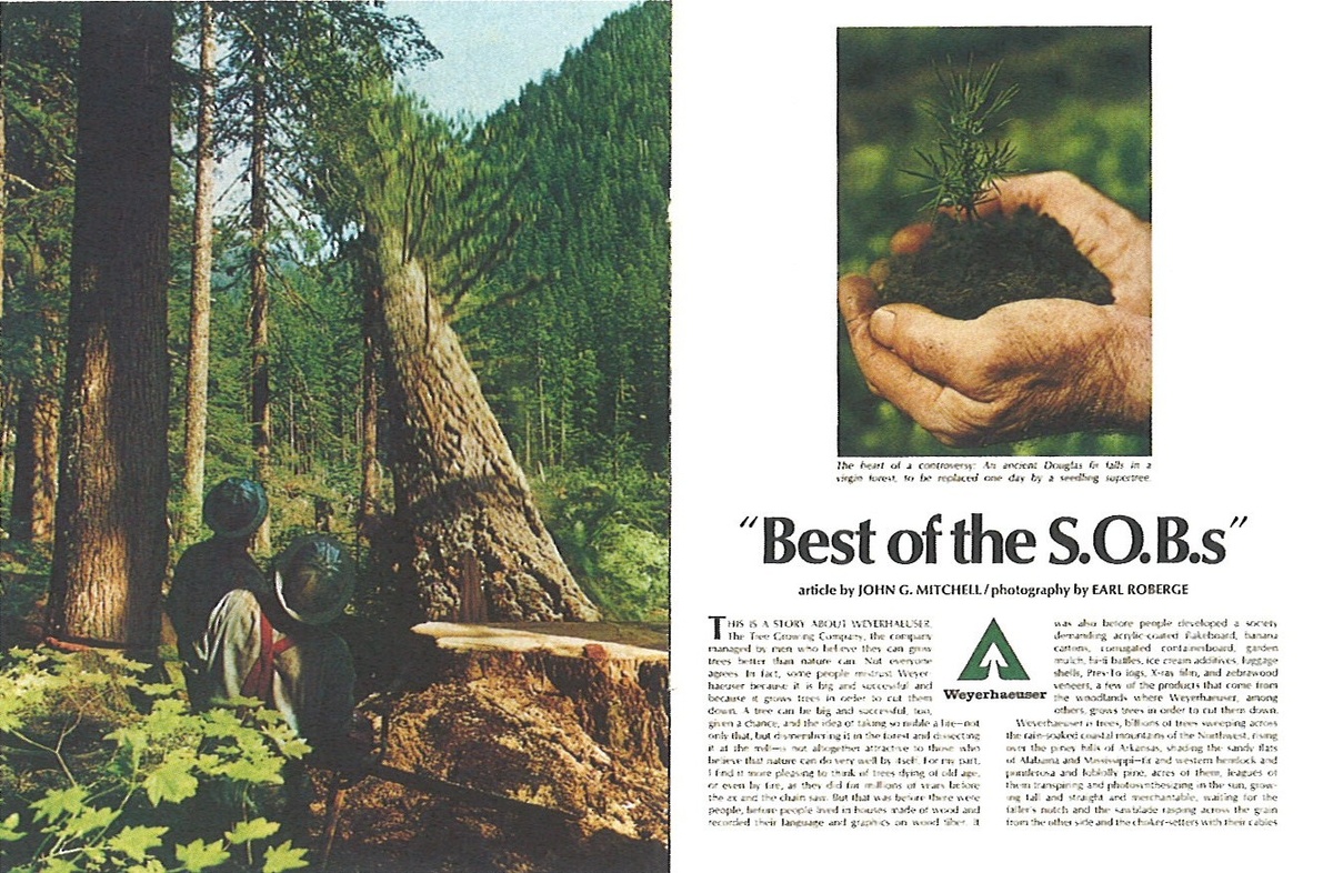 Weyerhaeuser в 1974 году лидер отрасли (...), признание его усилия по обеспечению устойчивого лесного хозяйства и борьбы с загрязнением среды