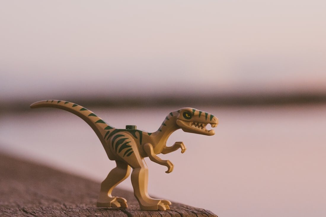 https://unsplash.com/photos/WJuwxFIpidc