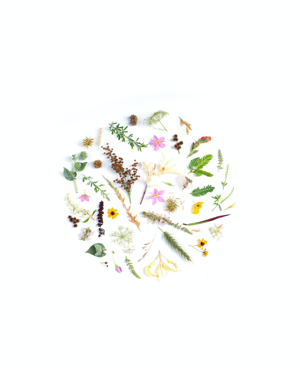 https://unsplash.com/@evieshaffer