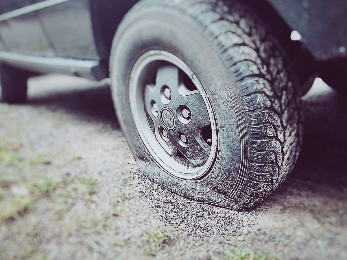 фото взято из Яндекс картинки