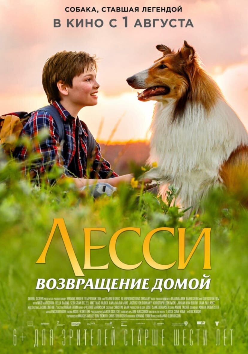 Фото взято из интернета.