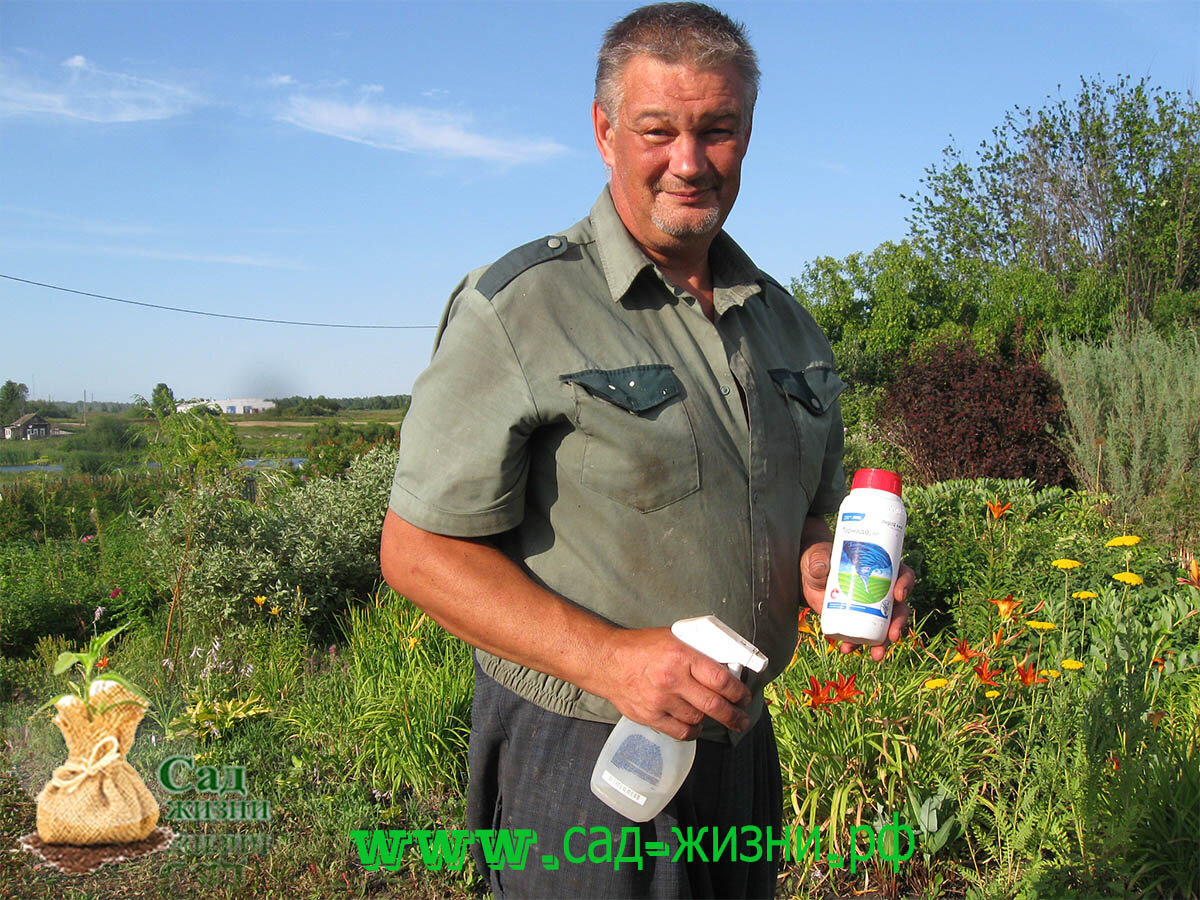 Мы 16 лет используем гербицид "Торнадо". И не собираемся от него отказываться.