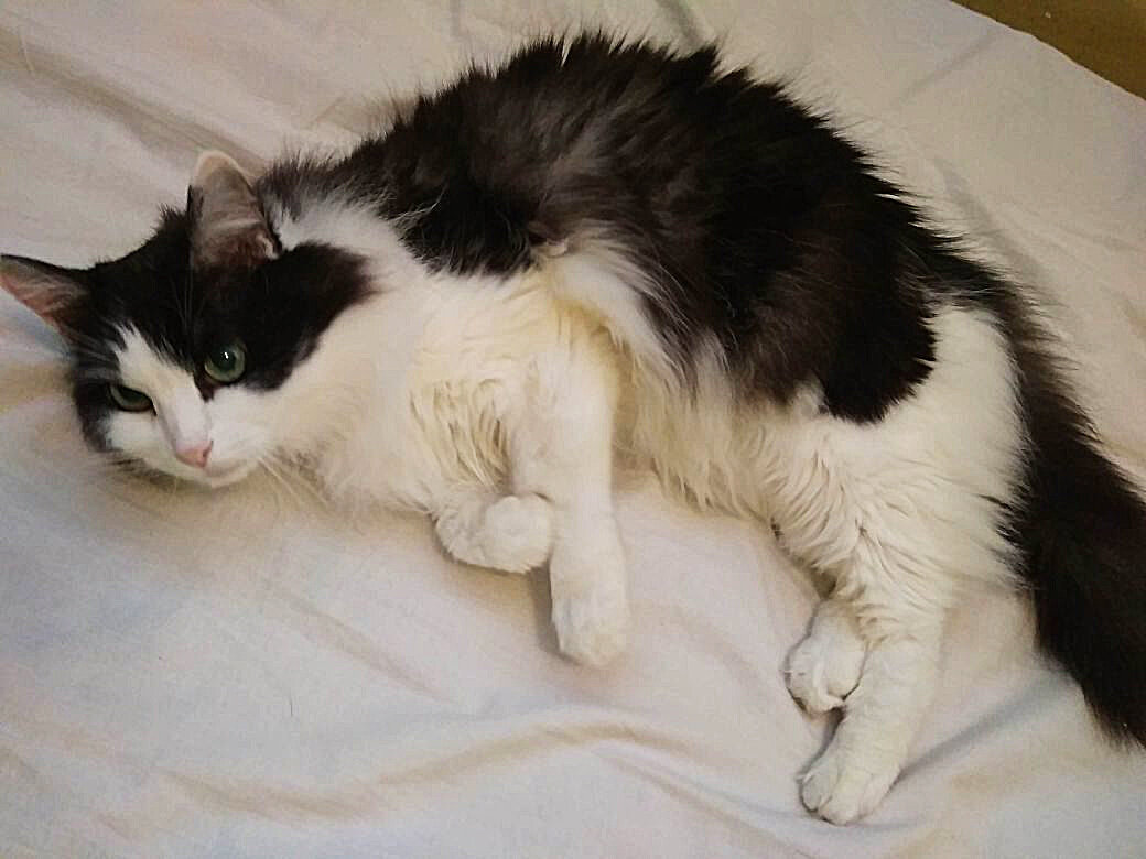 Вот он, любитель успокоительных чаев.