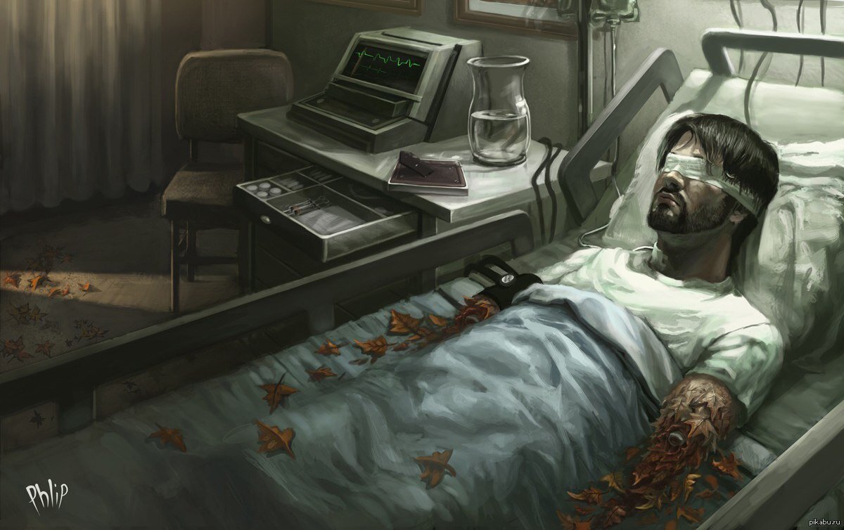 Яндекс.Картинки