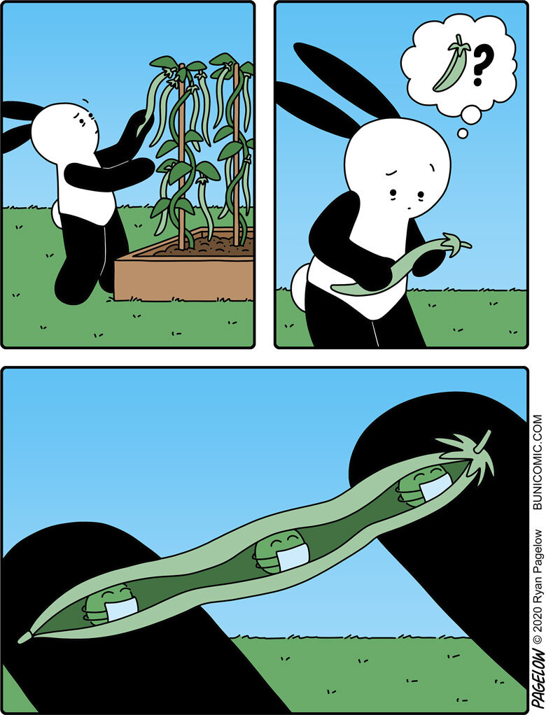 Социальная дистанция