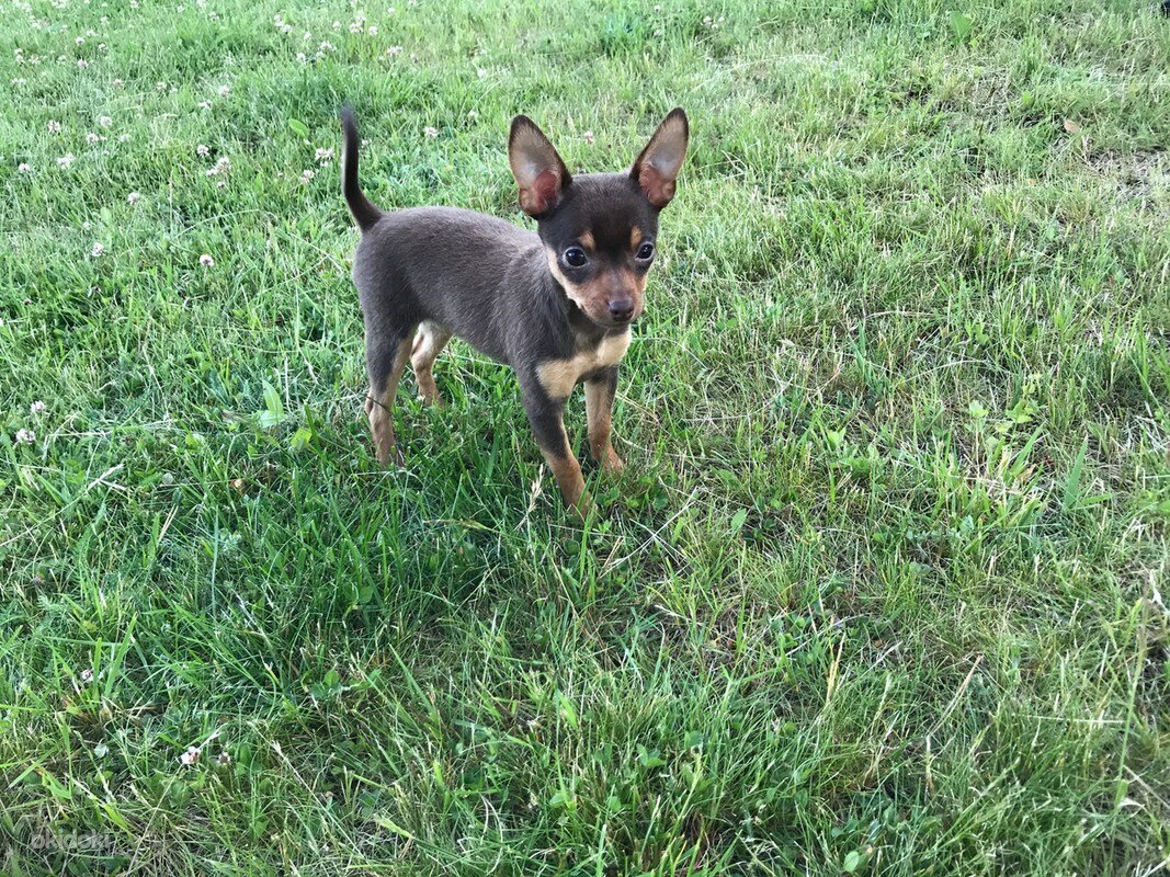 Фото из открытых источников