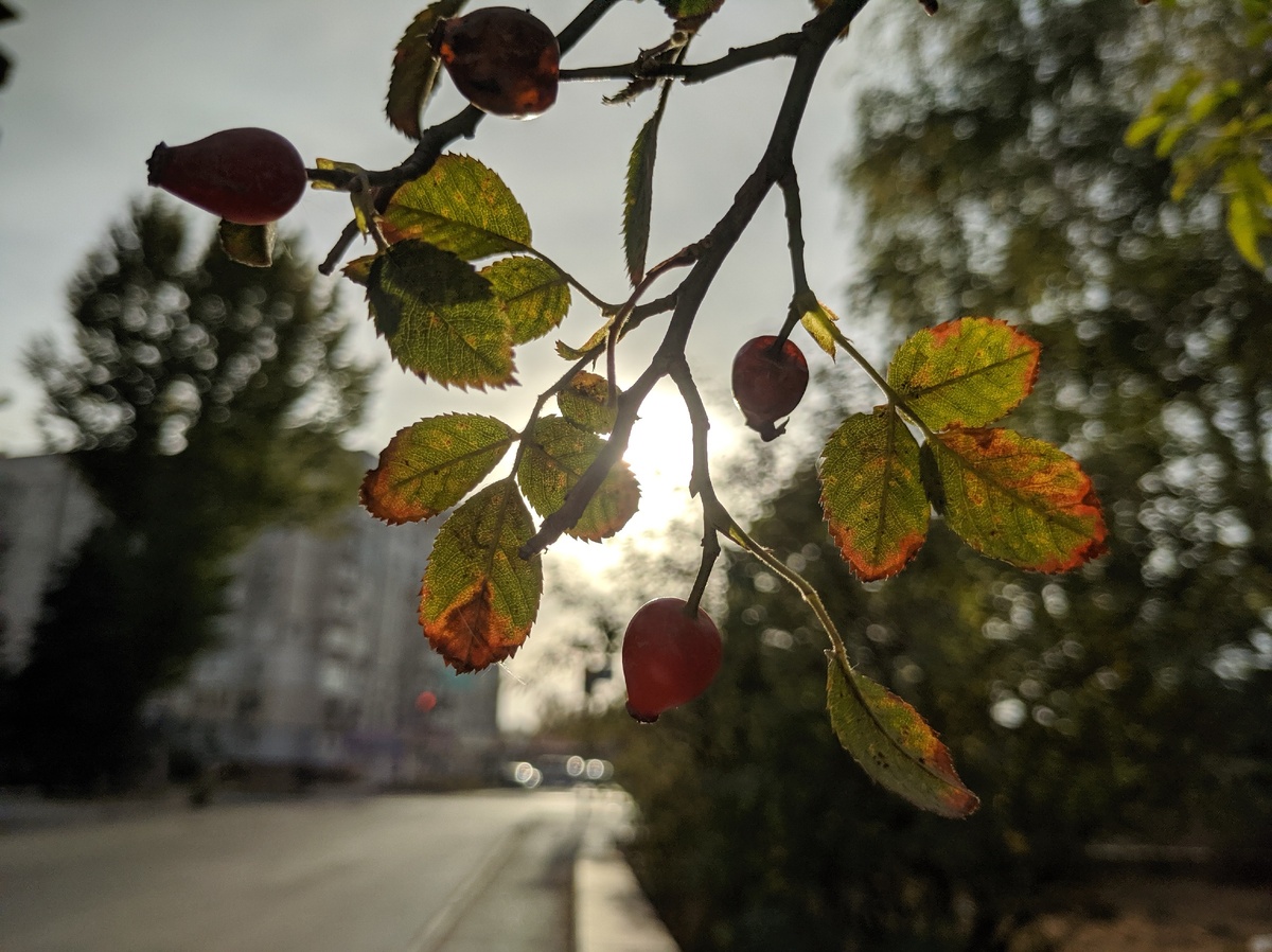 Не забывайте делать несколько кадров - на всякий случай. Потом выберет наиболее удачный.