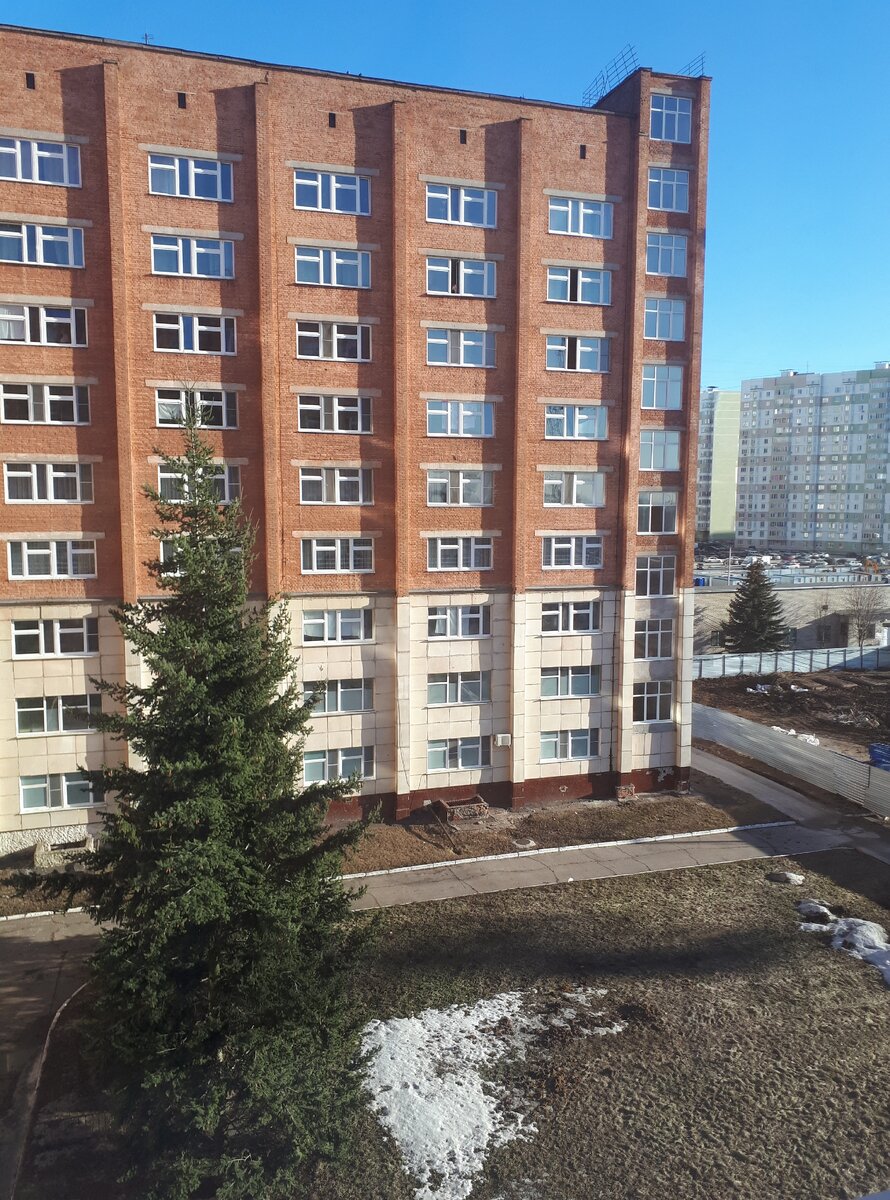 Вид из окна больницы
