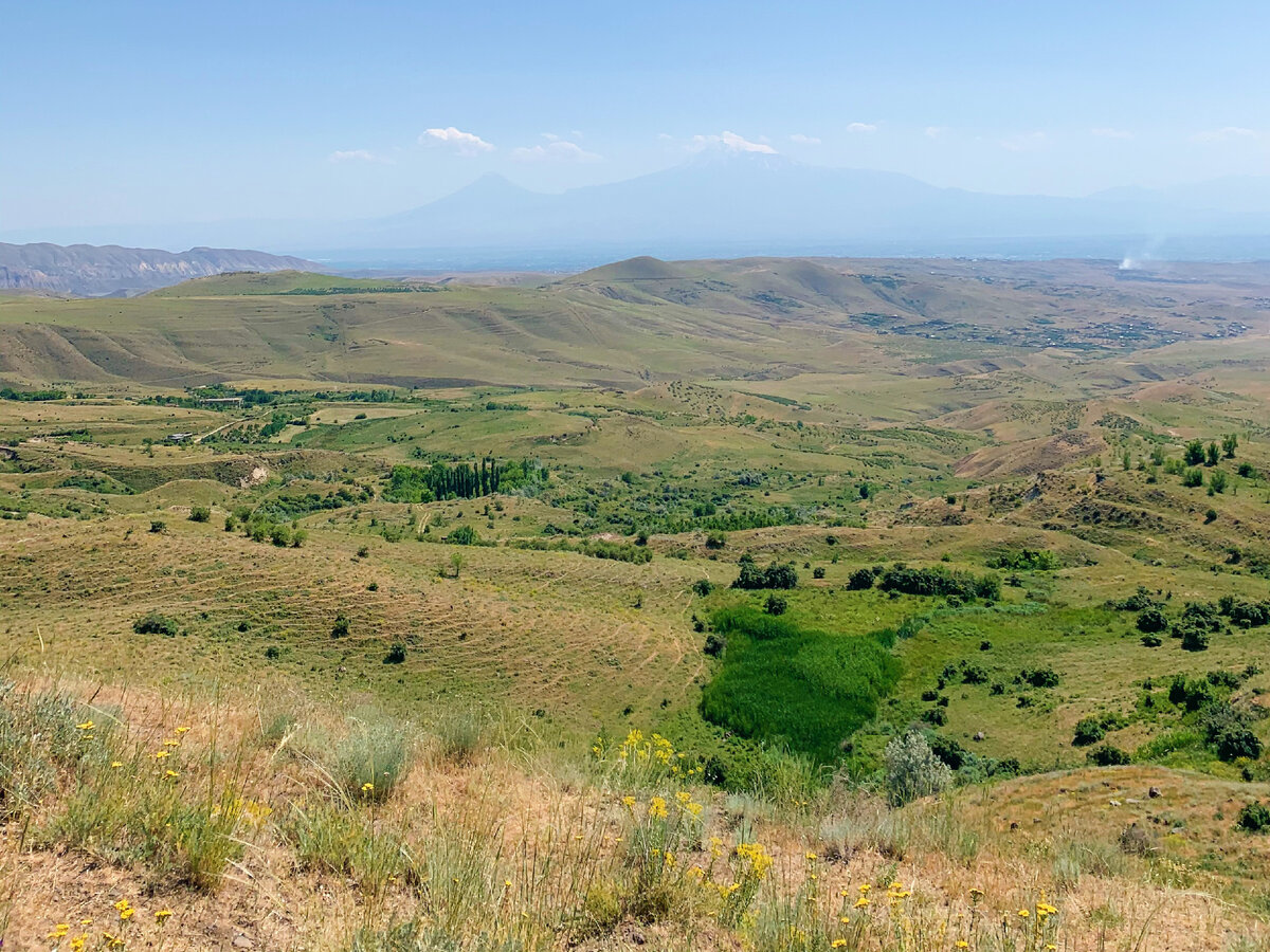 В Араратской долине растут самые солнечные фрукты: персики, абрикосы и яблоки