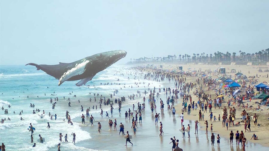 Magic Leap.