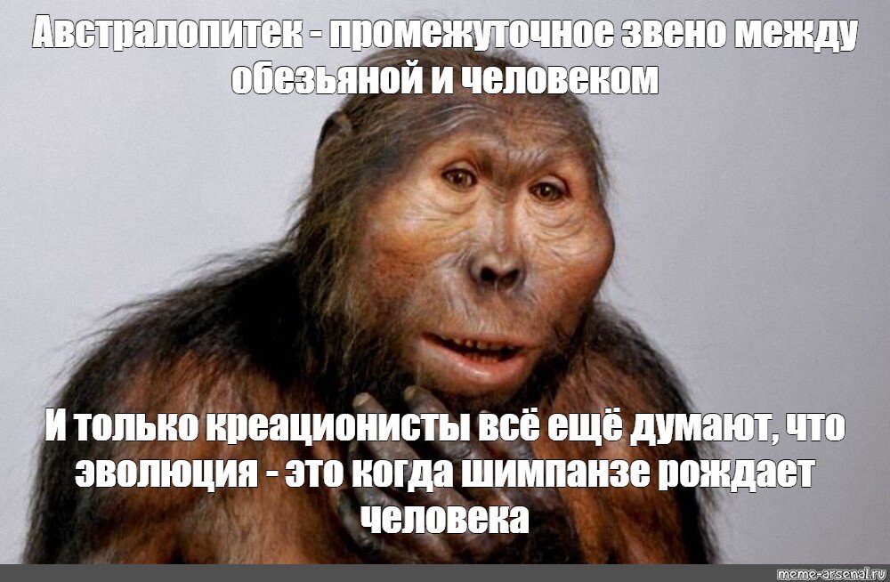 хомо сапиенс обезьяна. недостающее звено между человеком и обезьяной. превращение из обезьяны в человека. гомо сапиенс эволюция. появление человека на земле.