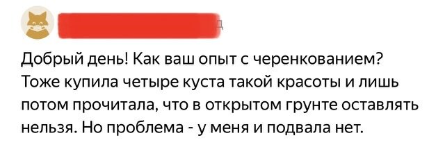 ВОТ КОММЕНТАРИЙ ОТ ЧЕЛОВЕКА БЛИЗКОГО МНЕ ПО ДУХУ