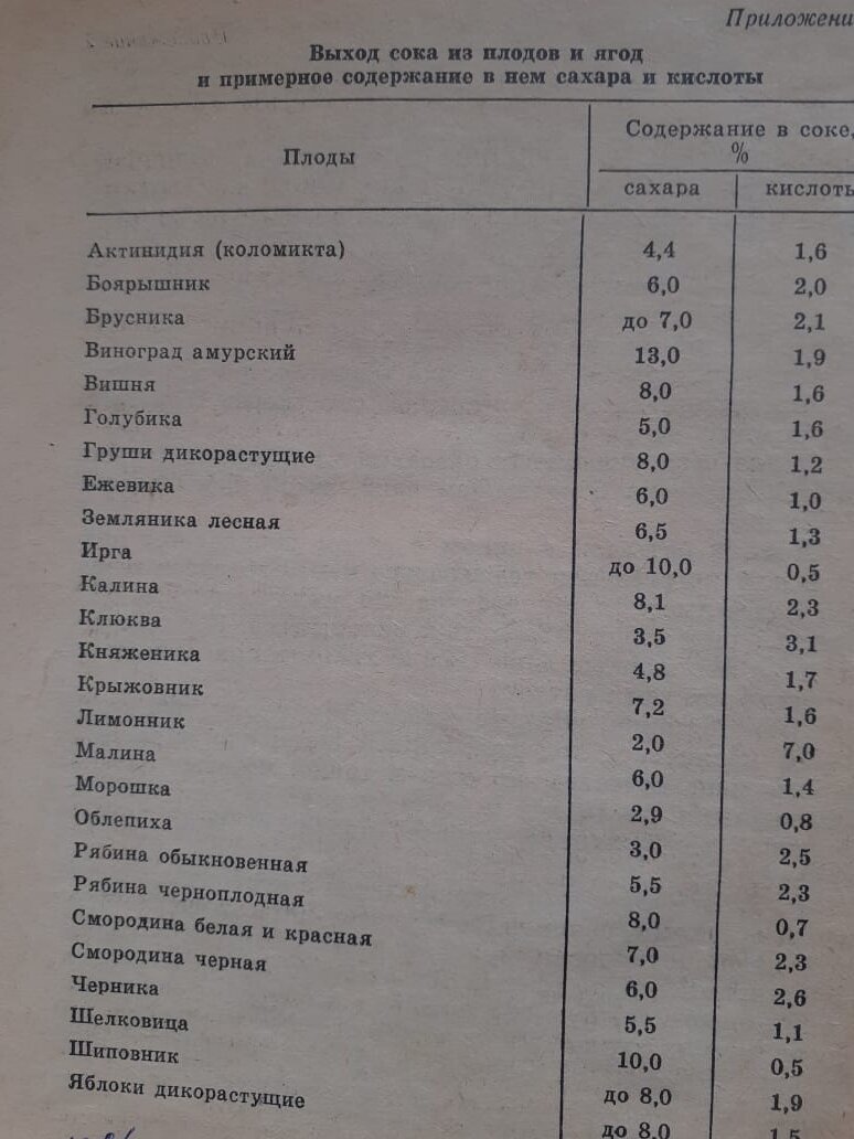 Как сделать качественное виноградное вино в домашних условиях. Простая  технология советских времен | Волжский сад | Дзен