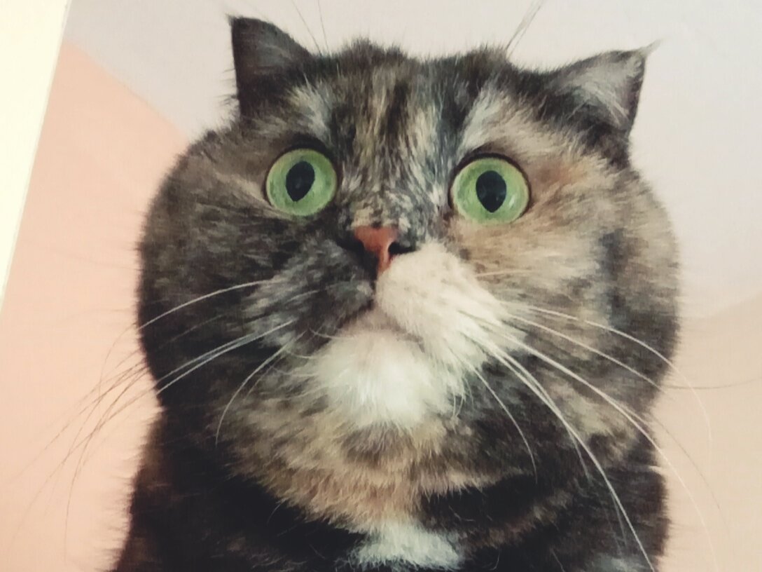 Все нормально с тобой? Самочувствие хорошее?