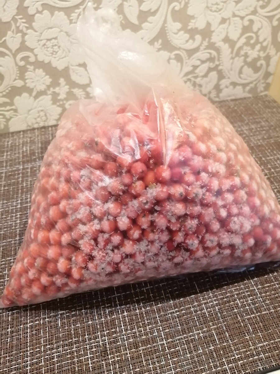 Замороженная красная рябина для настойки.