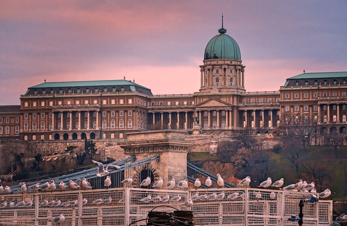 Фото: © Виктор Башкир 