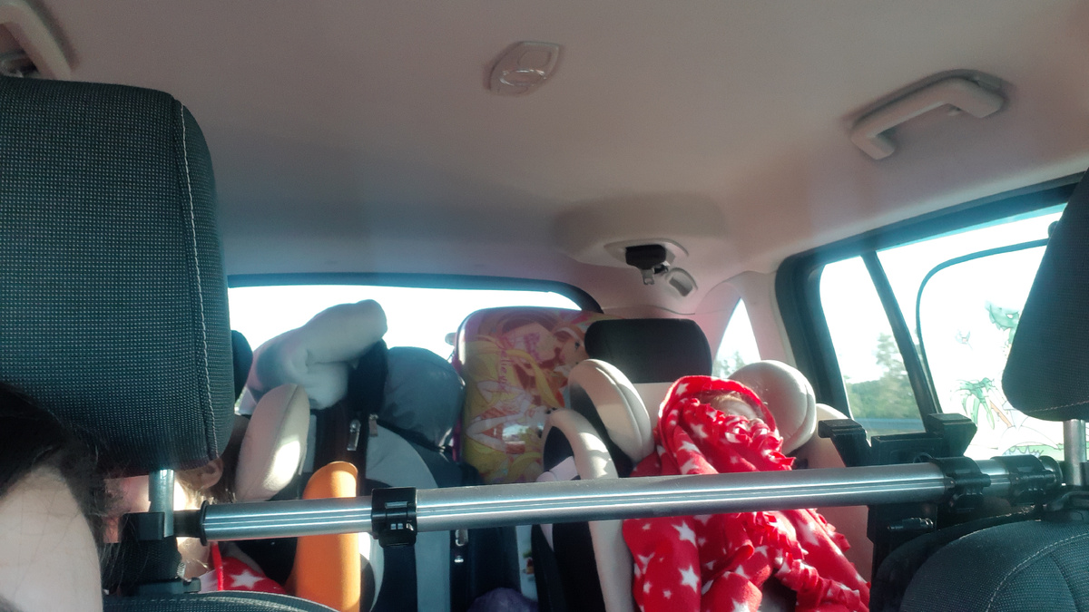 Носики курсносики сопят