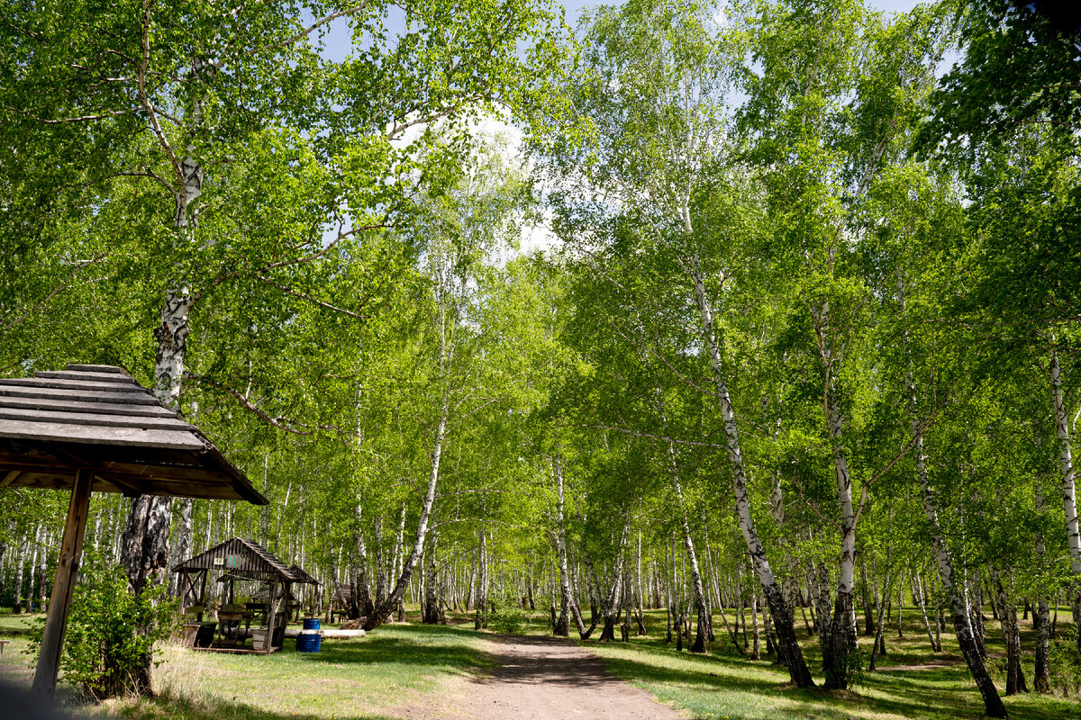 Линевский берег