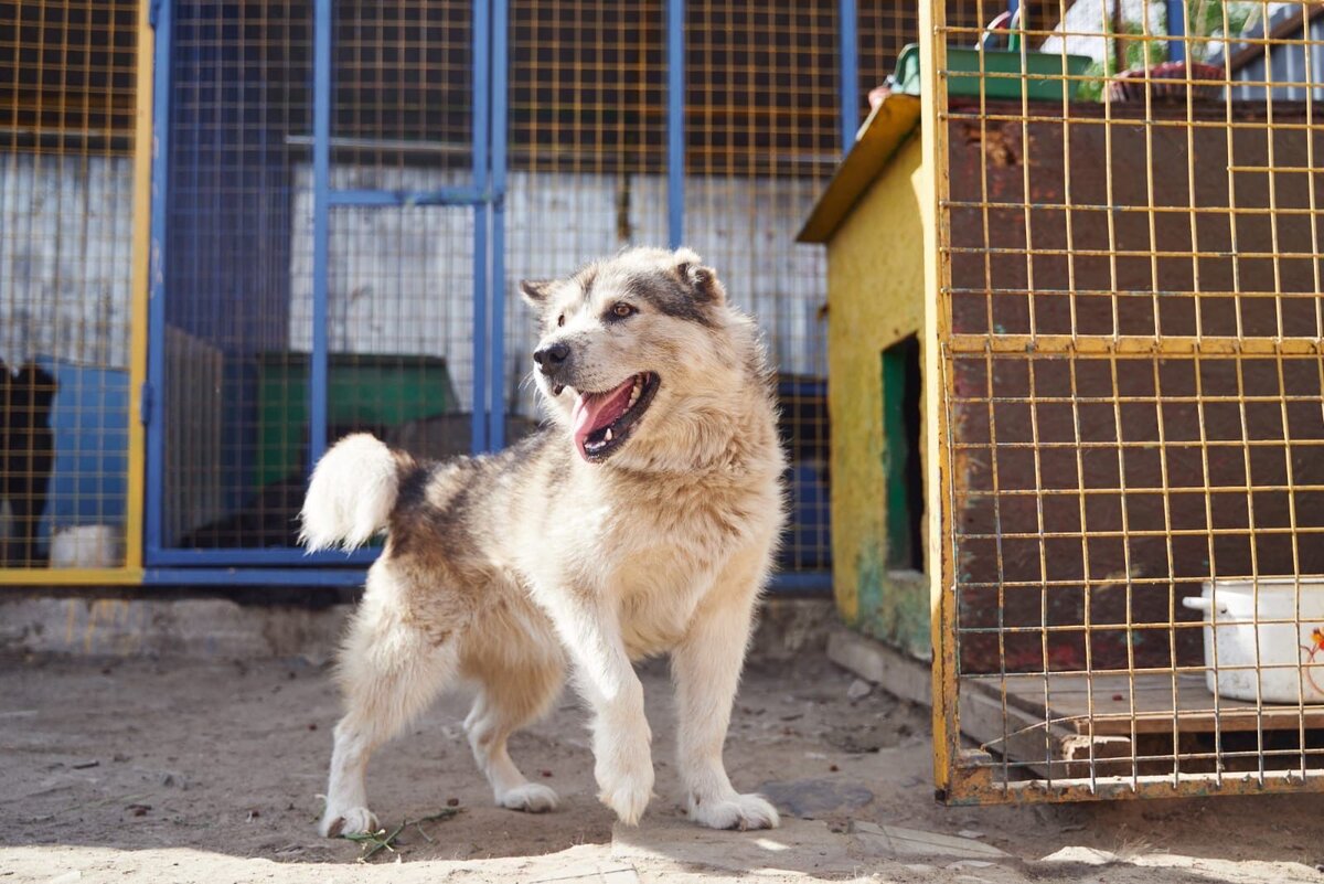 Хатика передает всем привет 
