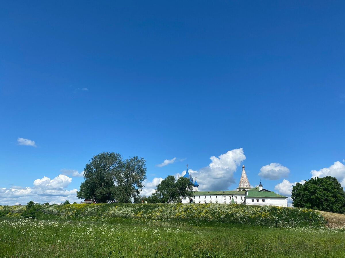 Вид на Суздальский Кремль