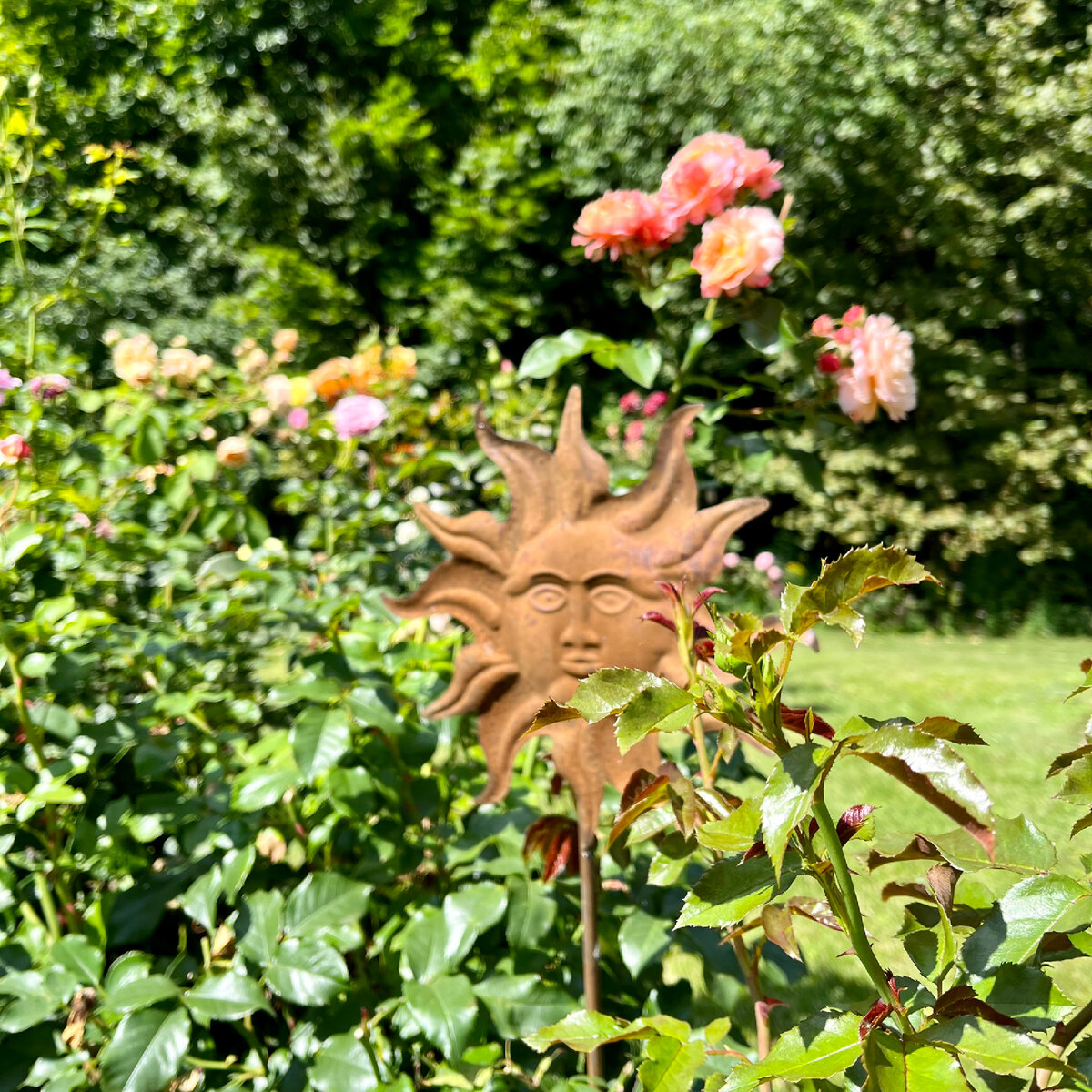 Металлическая опора в розарии 