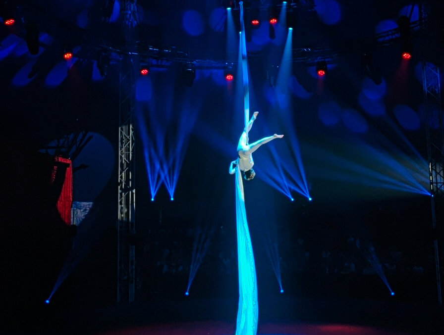 Прекрасное цирковое представление «Улочки московские», которое можно ...