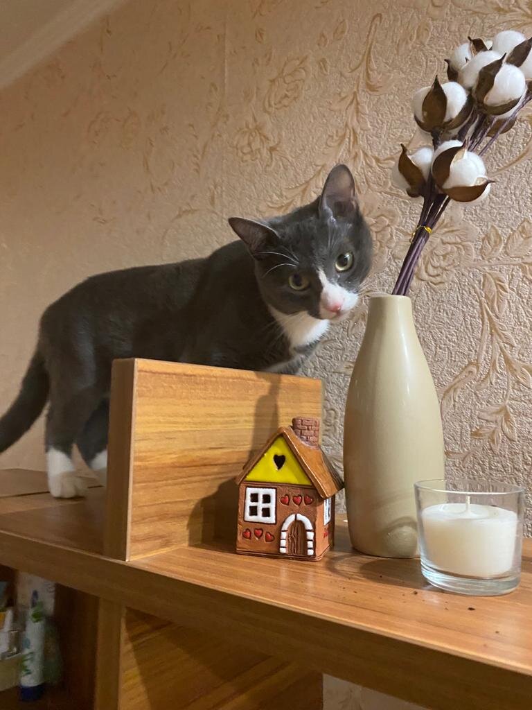 Фото автора