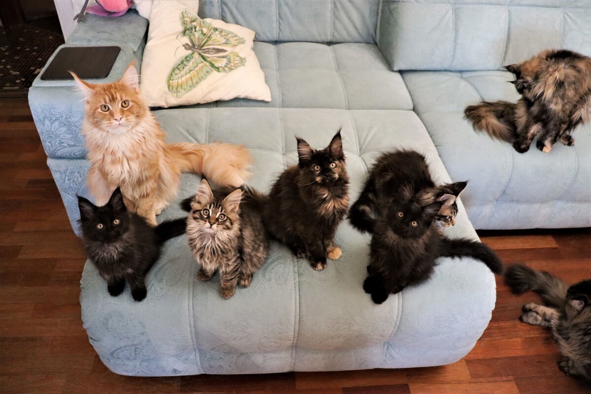 Фото из личного архива.