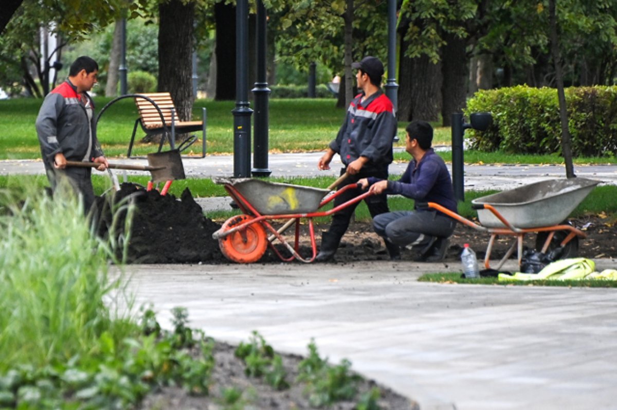    Курс на эффективность.