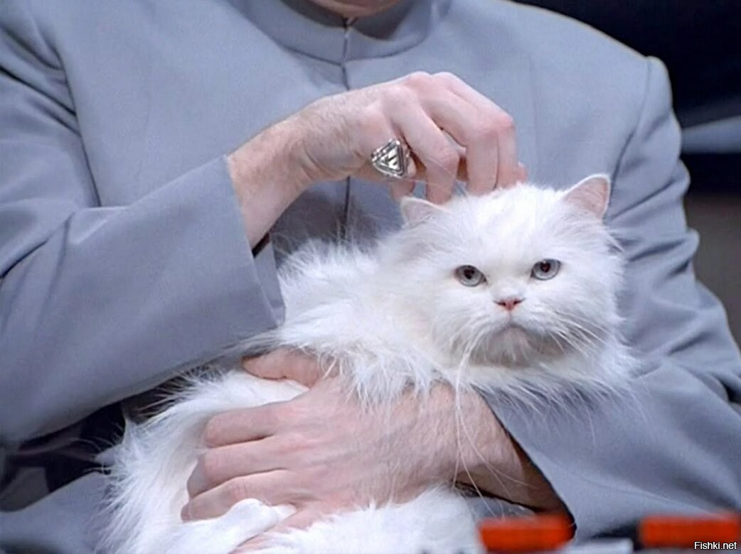 Котики супергерои. Кот злодей. Доктор зло с котом. Котик злодей. Кот негодяй.