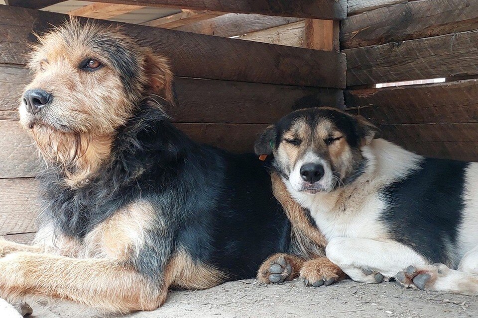   Роман ИГНАТЬЕВ