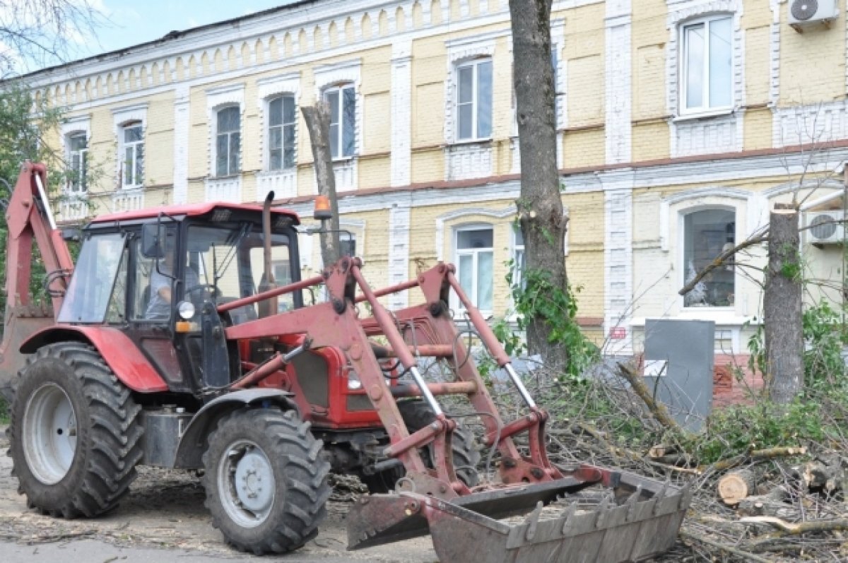    Пока не подморозило.