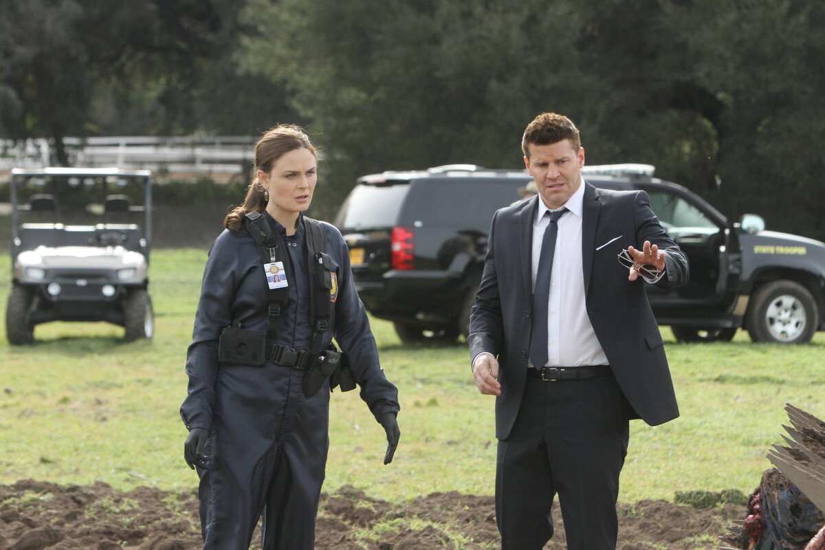 Источник фото: интернет