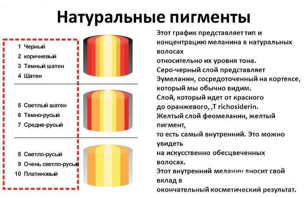 Почему на разных частей тела волосы разного цвета