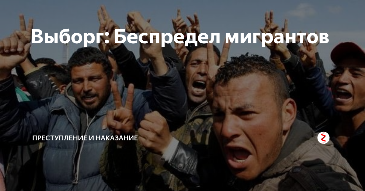 Выборг: Беспредел мигрантов | Преступление и наказание | Дзен