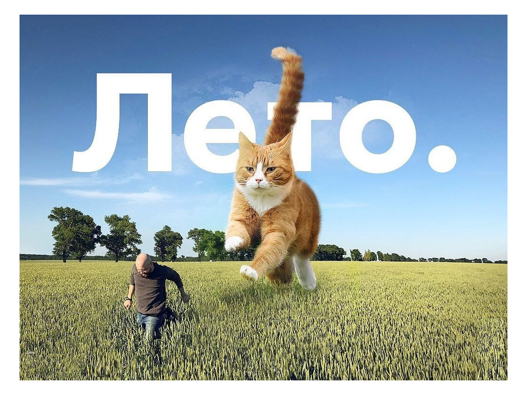 Летний. Игривый.