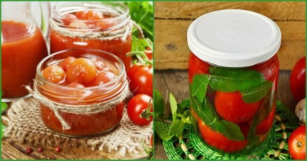 Фото: pixabay.com