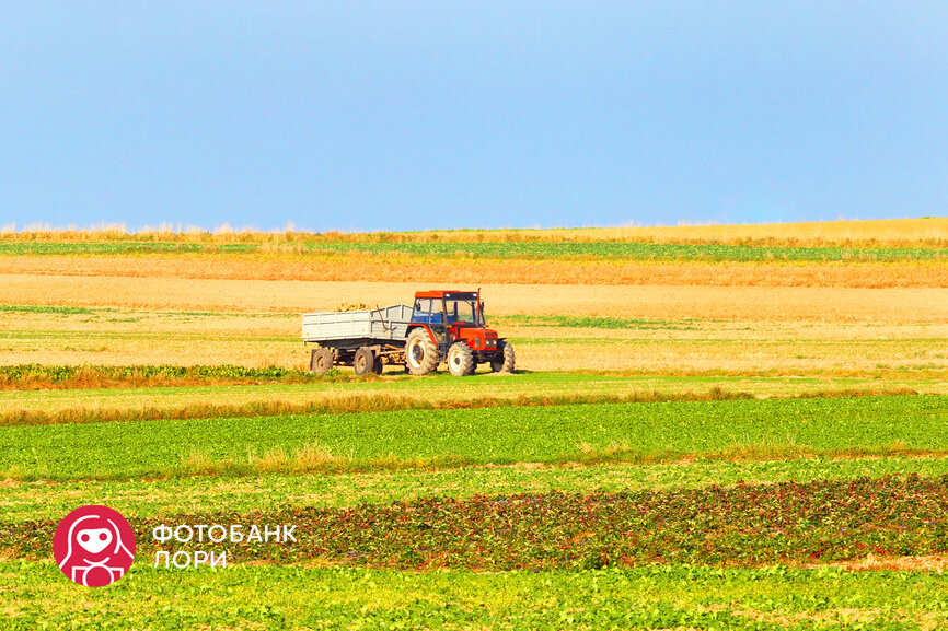 © yeti / Фотобанк Лори 