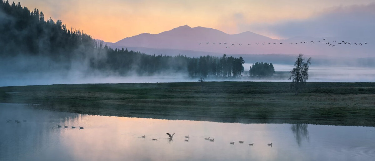 Фотография Nathaniel Merz