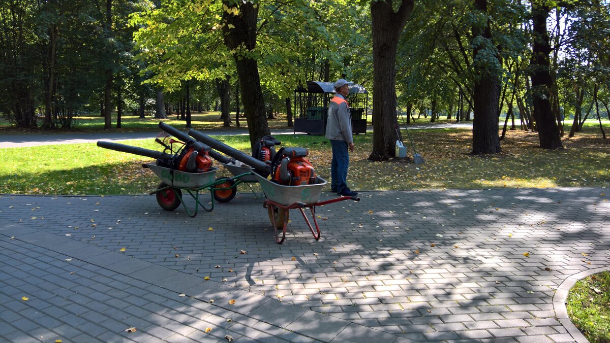 Фото: Дмитрий Плынов