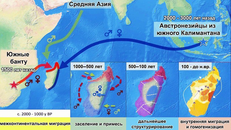 Представители мегафауны Мадагаскара, вымерли совсем недавно, примерно 2400-500 лет назад, как раз в период более плотного заселения острова людьми.-3