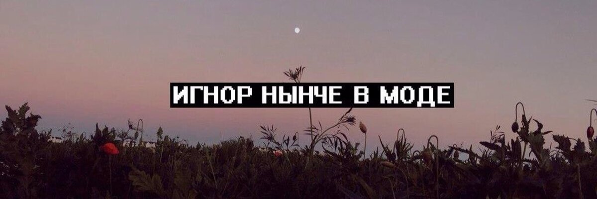 ЯндексКартинки