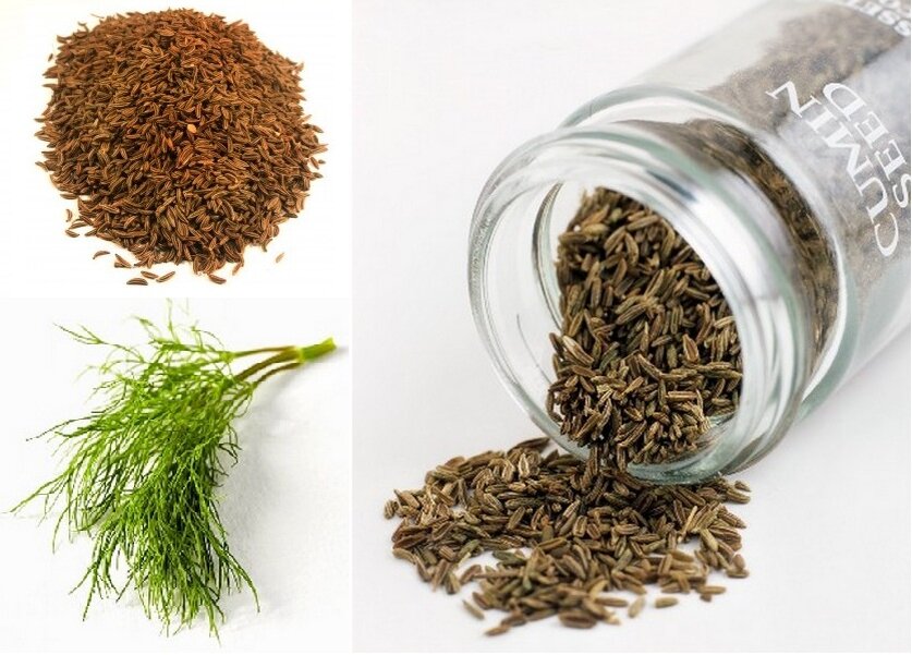 Тмин (carum carvi). Тмин (caraway). Семена черного тмина для похудения. Тмин зерна. Кмин тминовый.