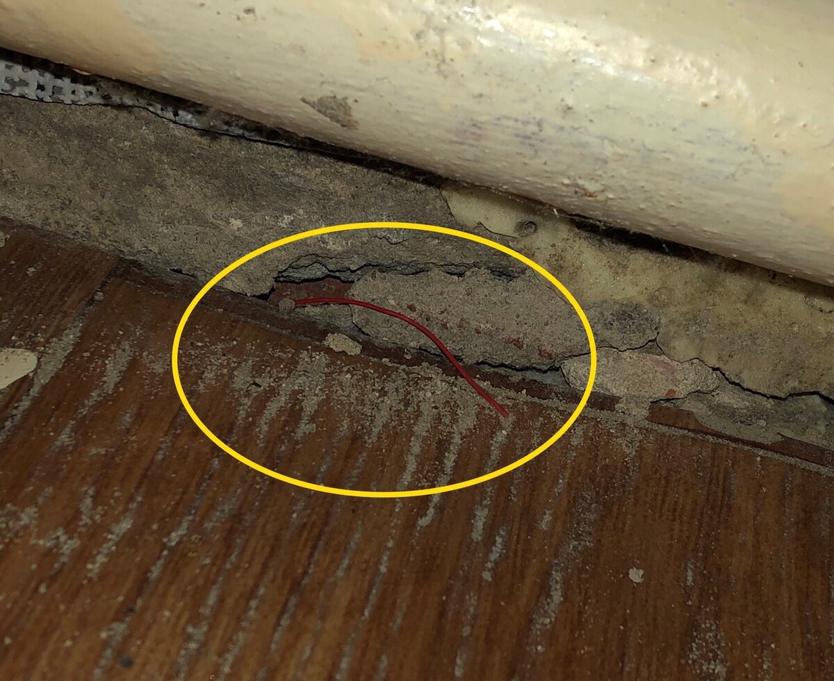 Мышь под плинтусом в квартире