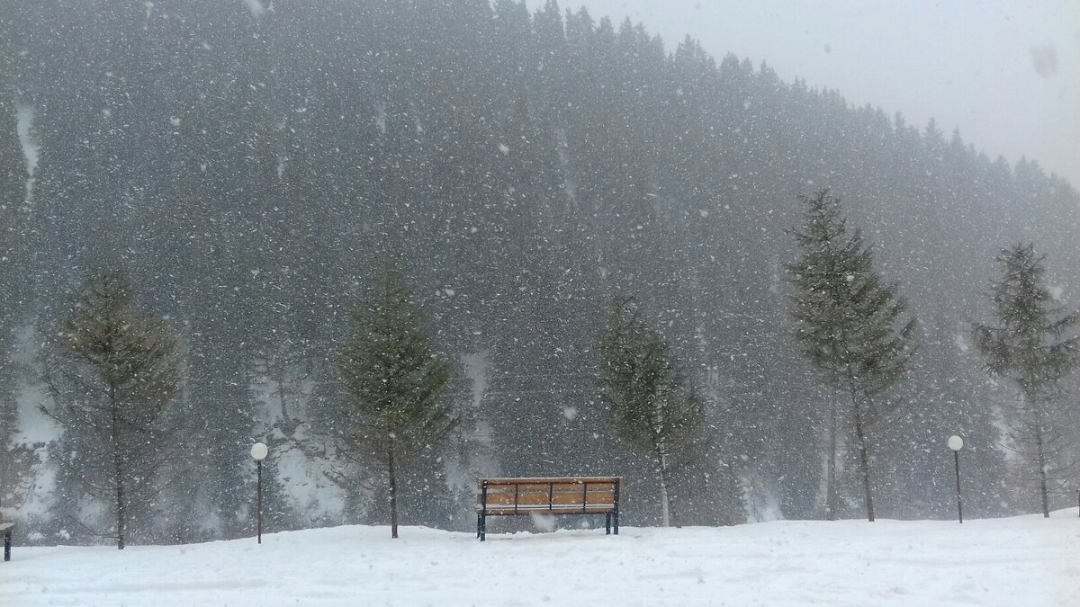 Доброго дня мой читатель! Если вам понравилось начало любой истории выложенной на моём канале, в том числе и этой, пишите в комментариях и я продолжу повествование дальше... Всё зависит только от вас.)